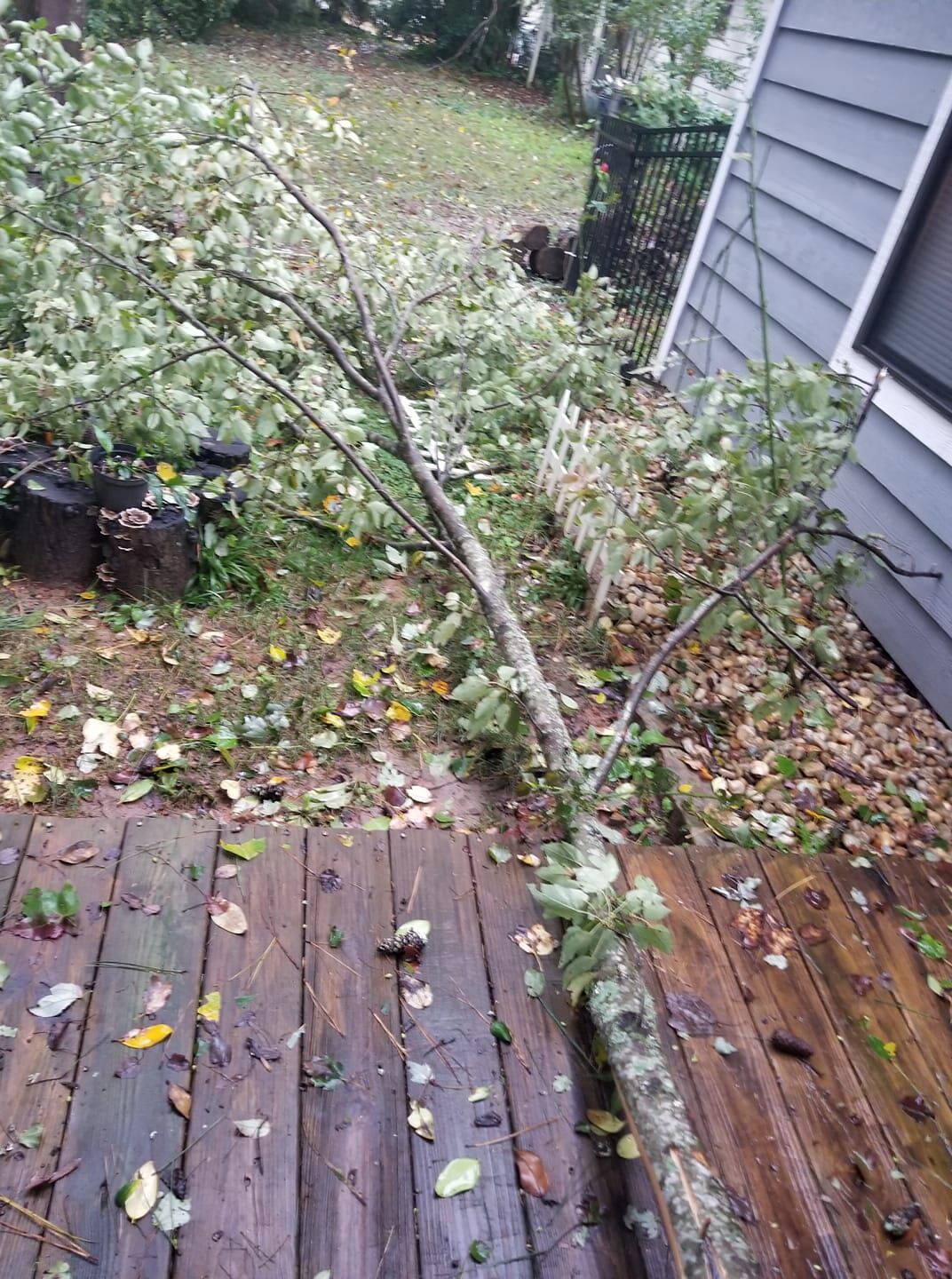 Tropical_Storm_Zeta12.jpg